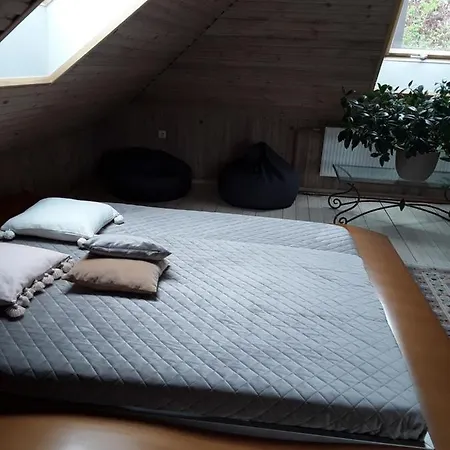 Large Guest House, Shared With The Hosts, Convenient With Children Vilnius
