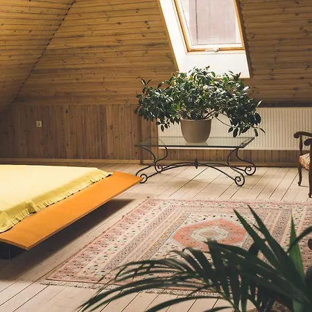 Large Guest House, Shared With The Hosts, Convenient With Children