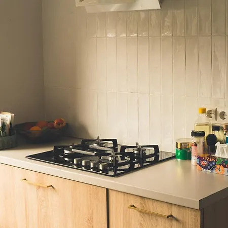 Large Guest House, Shared With The Hosts, Convenient With Children Vilna